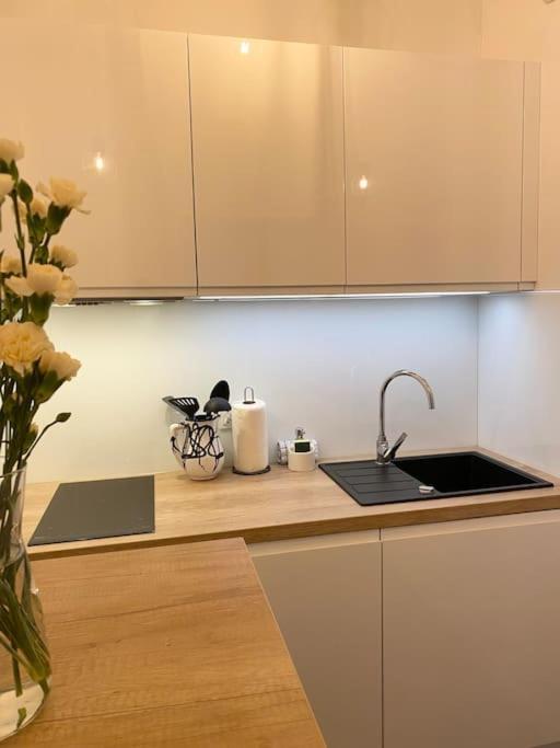 Ultra Kamienica Nova Ii Apartment