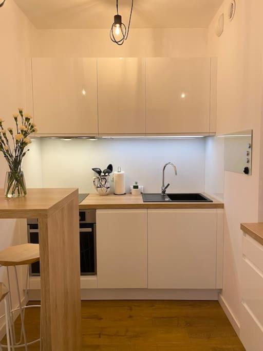 Apartment Ultra Kamienica Nova Ii Szczecin